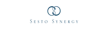 Sesto Synergy Logo | Unique Engagement Wedding Ring for Men and Women