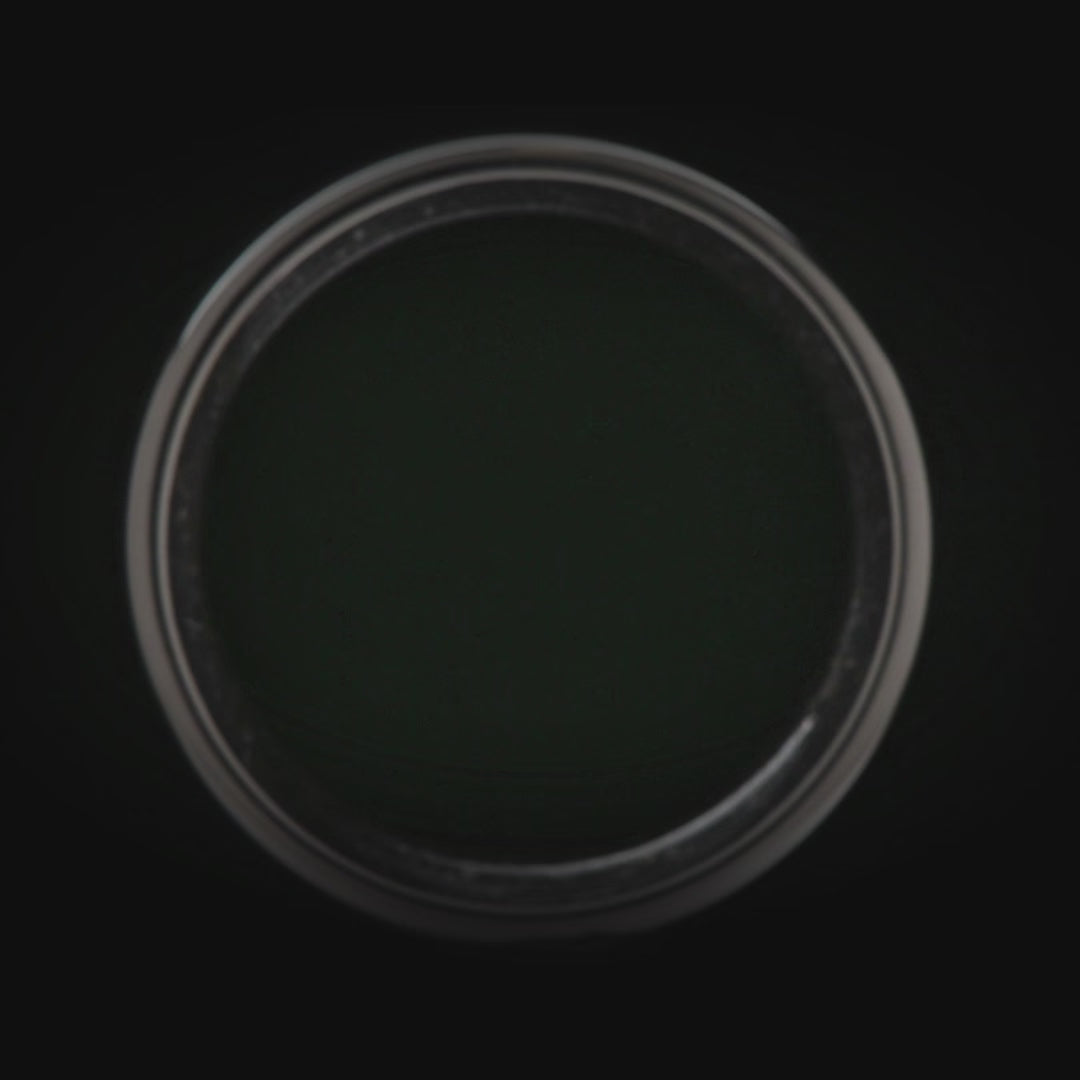 Titanium wedding band with moss agate and meteorite inlay, 6mm mens ring, unique brushed flat profile, free engraving, displayed on white sea branch.