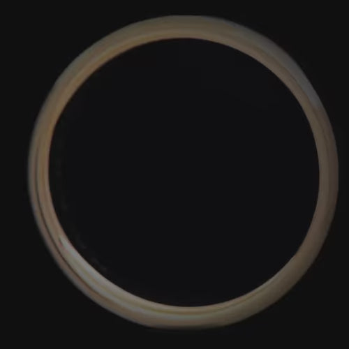 10KY gold mens wedding band with solid T-Rex central inlay, 7mm width, unique custom design, free engraving available