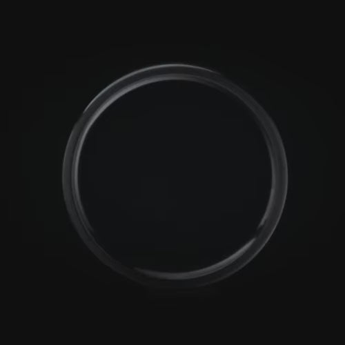 Black titanium wedding band featuring solid meteorite and T-Rex inlays, 7mm mens ring, unique design, free engraving available.